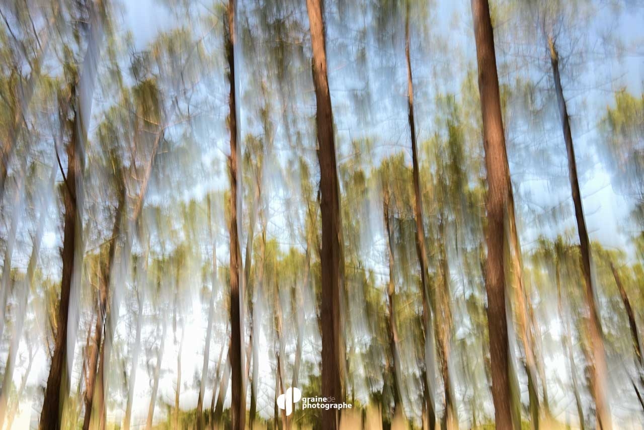 Masterclass Photo de Paysage Bassin d'Arcachon Arcachon