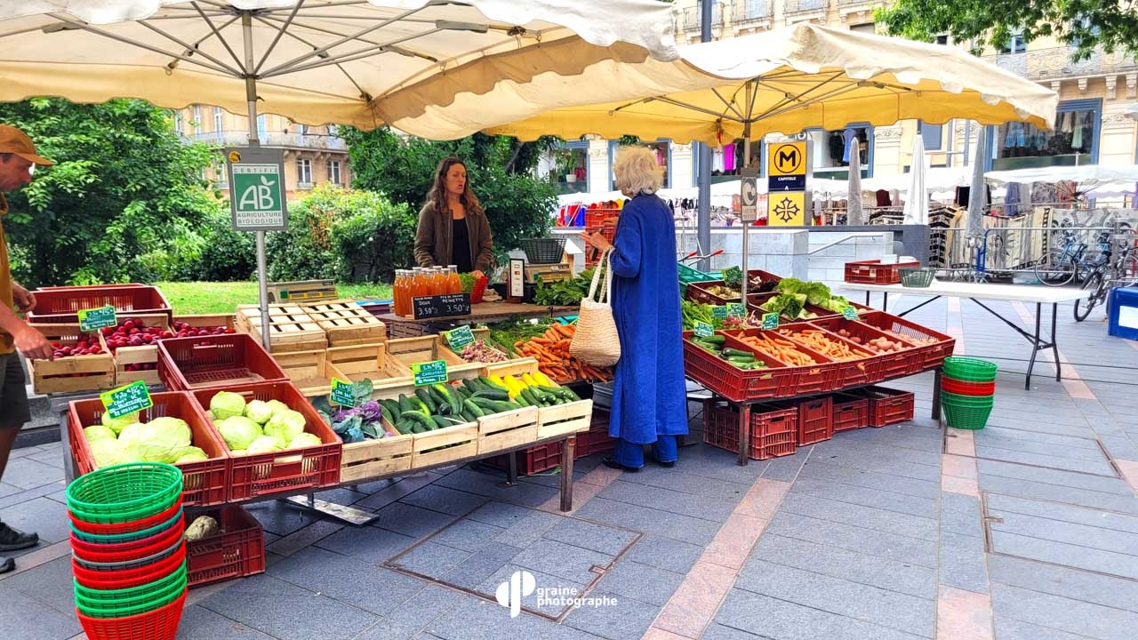 Photo Smartphone - Créatif Toulouse