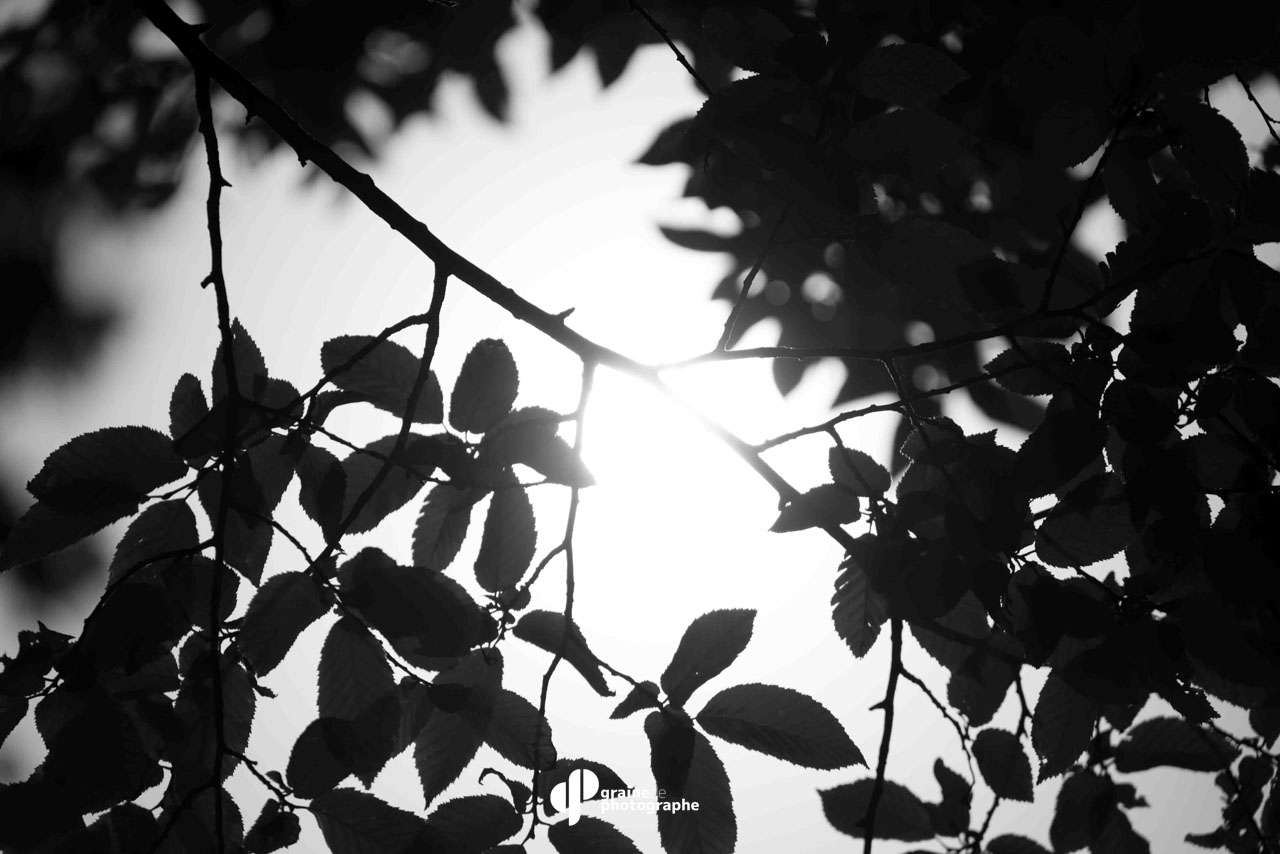 Noir et blanc Paris