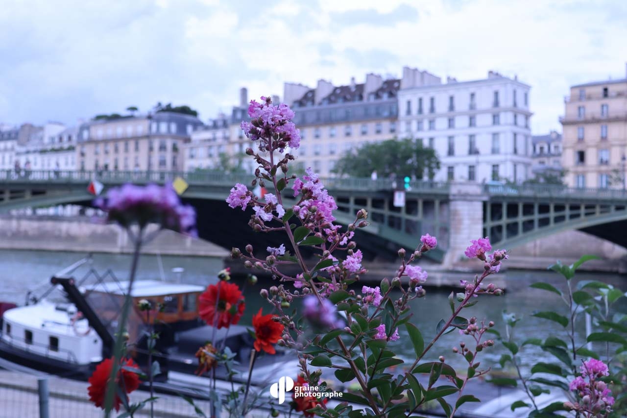 Profondeur de champ Paris