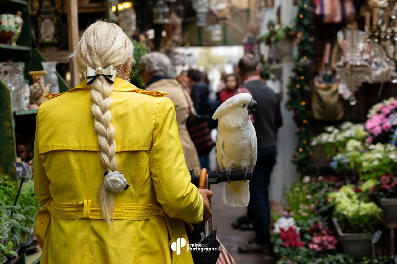 Street Photography Paris