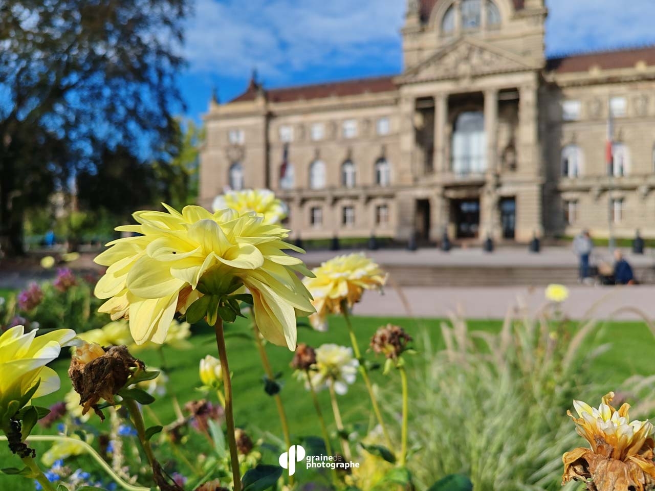 Photo Smartphone - Créatif Strasbourg