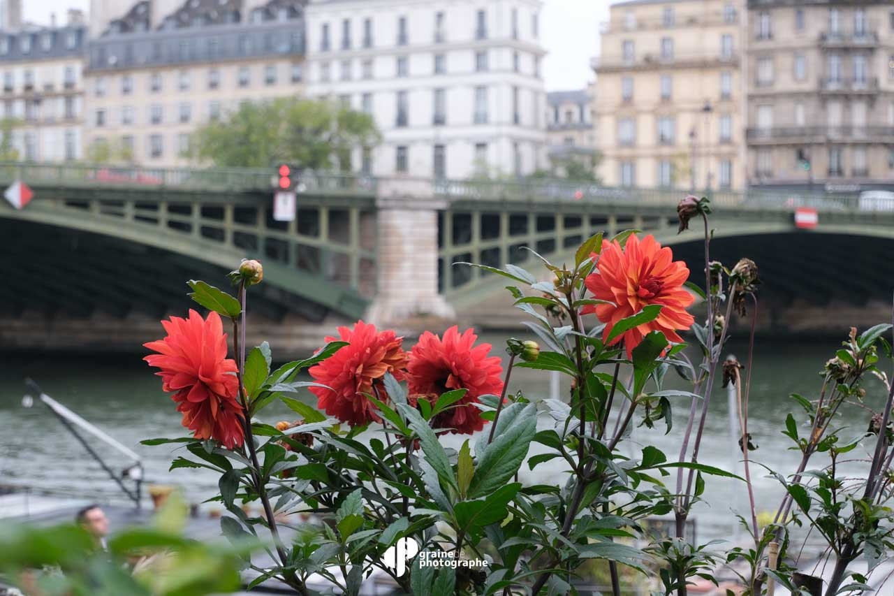 Profondeur de champ Paris